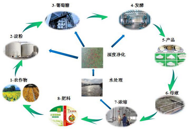 依托绿色循环经济新疆阜丰找准了长远发展的“命门”