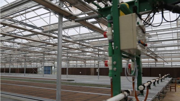 神木市现代特色农业示范园智能温室里的行走式喷灌车 神木市现代特色农业示范园智能温室里的行走式喷灌车