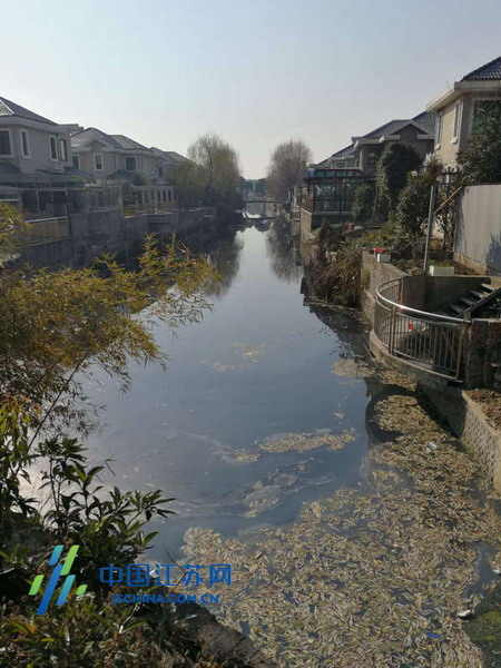 整治前的观景苑内浜污染明显 整治前的观景苑内浜污染明显