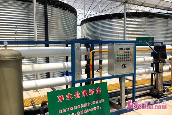 鱼台县王鲁镇王鲁村的蔬菜大棚让蔬菜“喝”上纯净水 鱼台县王鲁镇王鲁村的蔬菜大棚让蔬菜“喝”上纯净水