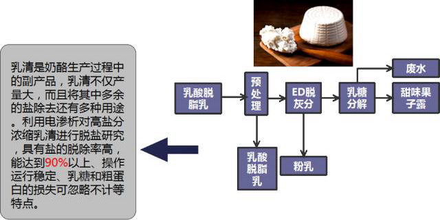 电驱动膜系统处理乳清工艺 电驱动膜系统处理乳清工艺