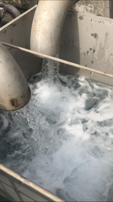 汤逊湖污水处理厂的尾水清澈透亮(《长江日报》记者 黄师师 摄) 汤逊湖污水处理厂的尾水清澈透亮(《长江日报》记者 黄师师 摄)