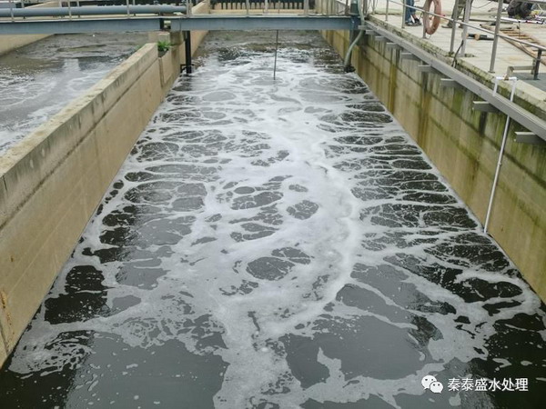 广东秦泰盛养猪厂养殖废水回用及零排放项目顺利投运 广东秦泰盛养猪厂养殖废水回用及零排放项目顺利投运
