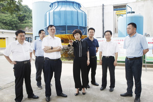 岳阳市李爱武市长在花果畈垃圾场渗沥液处理中心调研 岳阳市李爱武市长在花果畈垃圾场渗沥液处理中心调研