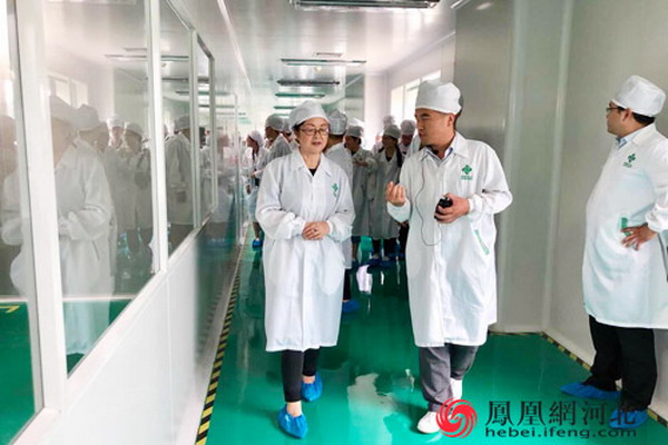 凤凰网全媒体行采风团石家庄站首日走访参观神威药业