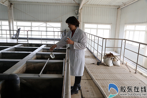 水资源开发利用创新烟台水生态文明城市建设成效显著 水资源开发利用创新烟台水生态文明城市建设成效显著