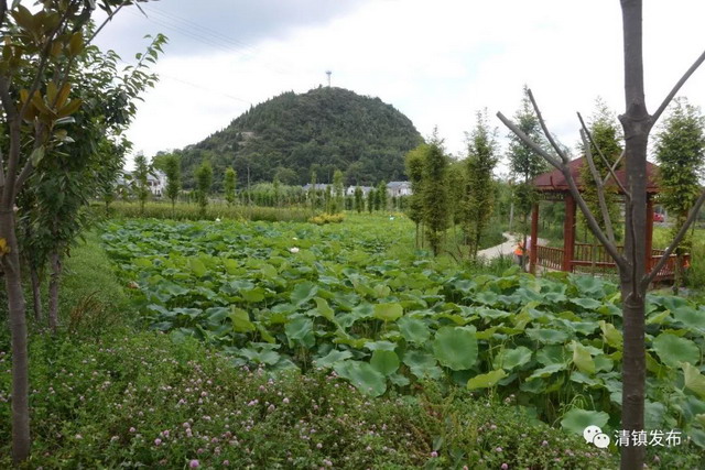 贵州博润一体化MBR装置建设清镇市农村生活污水处理站 贵州博润一体化MBR装置建设清镇市农村生活污水处理站