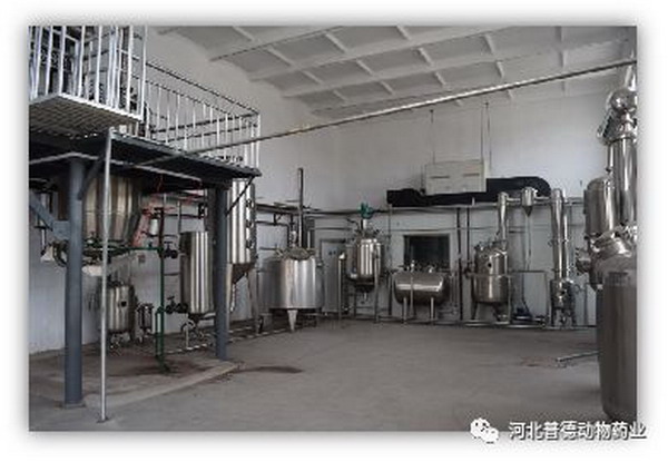 普德药业采用膜分离技术为双黄连口服液升级生产工艺 普德药业采用膜分离技术为双黄连口服液升级生产工艺