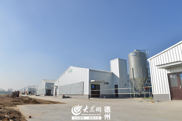 德州壹号土蛋鸡养殖基地反渗透膜过滤回用雨水及废液 德州壹号土蛋鸡养殖基地反渗透膜过滤回用雨水及废液