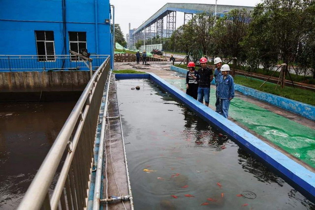 方大萍安钢铁动力厂举办废水深度处理操作工技能培训 方大萍安钢铁动力厂举办废水深度处理操作工技能培训