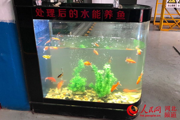 在改善环境上的高投入让德龙钢铁收获了“绿色红利”