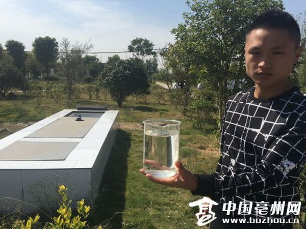 安徽蒙城县岳坊镇生态型污水处理站埋地式模式满眼绿 安徽蒙城县岳坊镇生态型污水处理站埋地式模式满眼绿