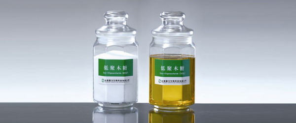欧盟新资源食品认证龙力生物打造低聚木糖产业独角兽