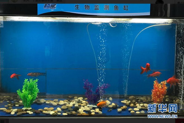长兴县政府要所有铅蓄电池企业污水处理膜法改造升级