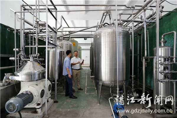 广西遂溪县金丰糖业新技术应用开创国内膜法制糖先河 广西遂溪县金丰糖业新技术应用开创国内膜法制糖先河
