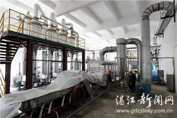 广西遂溪县金丰糖业新技术应用开创国内膜法制糖先河 广西遂溪县金丰糖业新技术应用开创国内膜法制糖先河