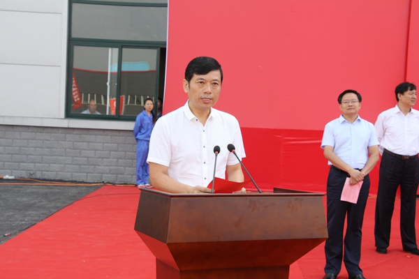 人大代表刘颖：中材锂膜打造世界级锂膜行业龙头企业