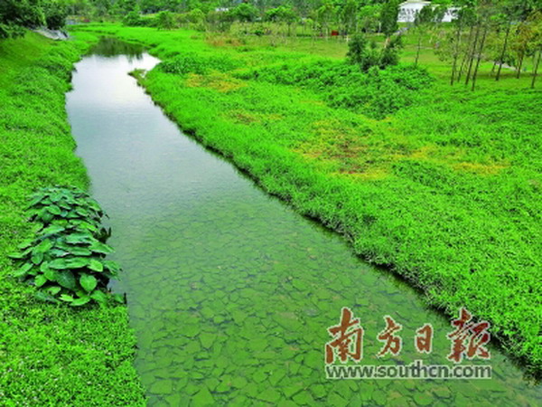罗芳水质净化厂每天30万吨污水变成Ⅳ类水排入深圳河 罗芳水质净化厂每天30万吨污水变成Ⅳ类水排入深圳河