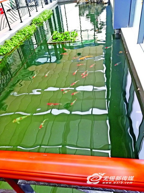 江阴华西钢铁污水集中处理中水回用设备出水可直接喝 江阴华西钢铁污水集中处理中水回用设备出水可直接喝