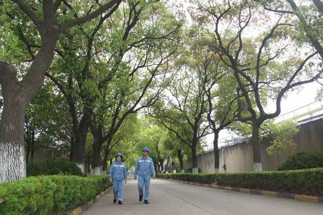 上海石化环境友好型污水场成中石化系统首批样板水场 上海石化环境友好型污水场成中石化系统首批样板水场