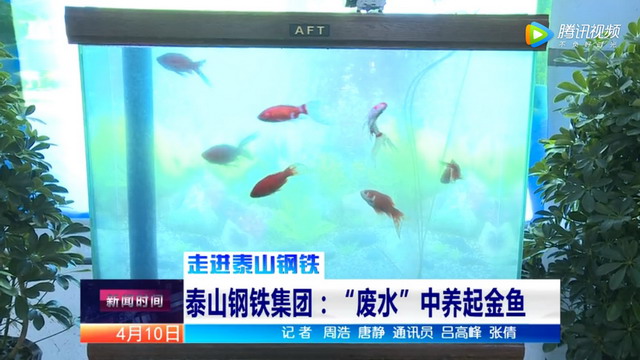 山东泰钢集团雅鹿山综合水处理厂的出水可以养起金鱼 山东泰钢集团雅鹿山综合水处理厂的出水可以养起金鱼