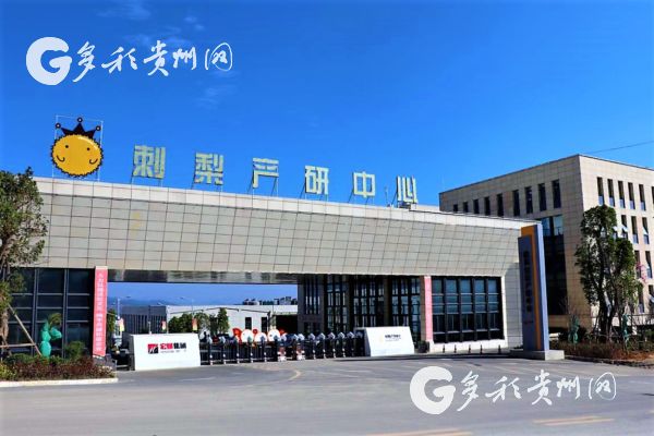 突破六盘水刺梨产业发展瓶颈刺梨产研中心引进膜过滤 突破六盘水刺梨产业发展瓶颈刺梨产研中心引进膜过滤