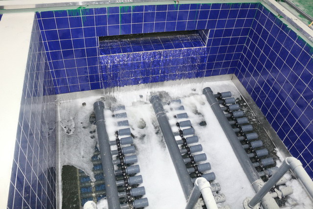 贵州全省首座万吨超滤膜水厂锦屏县城新水厂通水运行