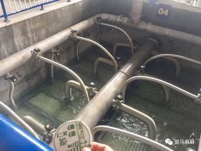 喝上“超滤水”的宁波市民爱水、惜水、节水意识增强 喝上“超滤水”的宁波市民爱水、惜水、节水意识增强