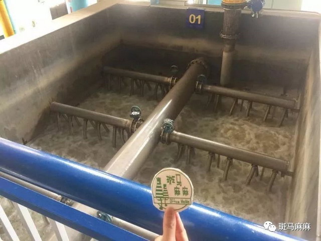 喝上“超滤水”的宁波市民爱水、惜水、节水意识增强 喝上“超滤水”的宁波市民爱水、惜水、节水意识增强