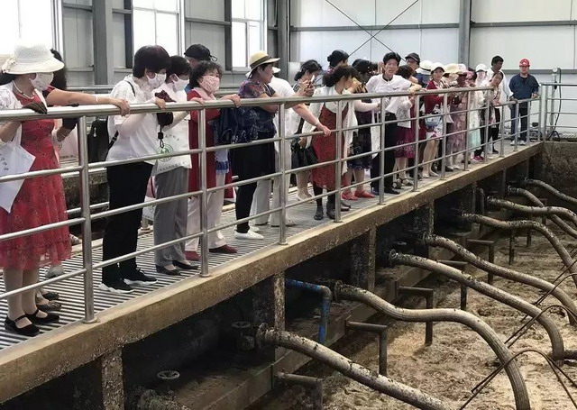 认知污水变清流居民代表走进巴彦浩特新区污水处理厂 认知污水变清流居民代表走进巴彦浩特新区污水处理厂