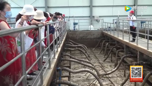 认知污水变清流居民代表走进巴彦浩特新区污水处理厂 认知污水变清流居民代表走进巴彦浩特新区污水处理厂