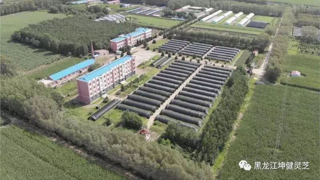 黑龙江坤健农业利用纳滤膜技术改进灵芝多糖萃取工艺 黑龙江坤健农业利用纳滤膜技术改进灵芝多糖萃取工艺