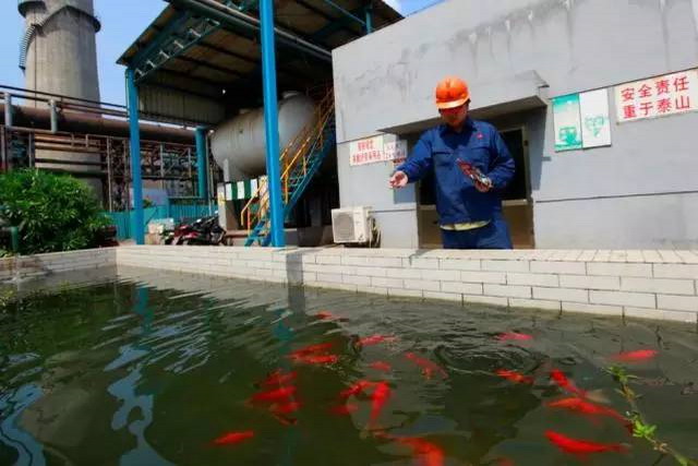 江苏永钢集团污水膜工艺处理产生的净水被送至发电厂 江苏永钢集团污水膜工艺处理产生的净水被送至发电厂