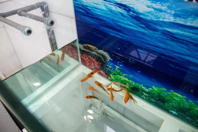 年可省出一座水库水量孚日集团中水再生利用项目投运 年可省出一座水库水量孚日集团中水再生利用项目投运