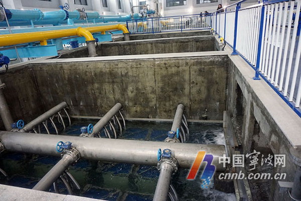 从“天落水”到“超滤水”网友宁波感受城市供水巨变 从“天落水”到“超滤水”网友宁波感受城市供水巨变