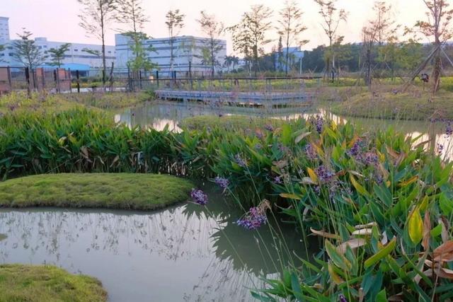 珠海市前山水质净化厂将全地埋式污水处理厂开放参观 珠海市前山水质净化厂将全地埋式污水处理厂开放参观