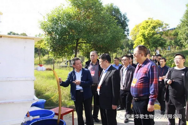 万州区政协主席一行调研重庆华歌RO污水处理中试装置