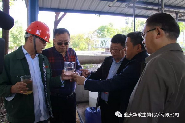 万州区政协主席一行调研重庆华歌RO污水处理中试装置