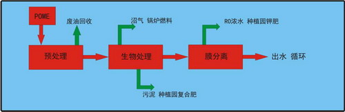 张振家团队“棕榈油废水零排放处理技术”再获国际奖 张振家团队“棕榈油废水零排放处理技术”再获国际奖
