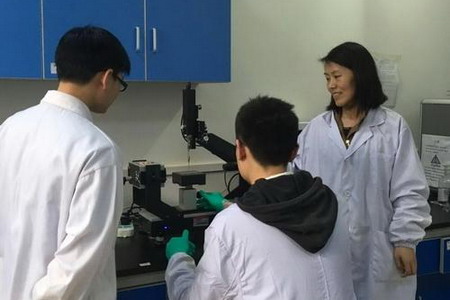 华中科技大学王艳教授团队渗透汽化膜制备获最新成果 华中科技大学王艳教授团队渗透汽化膜制备获最新成果