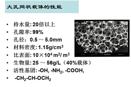 叶正芳教授:固定化高效微生物技术用于治理农村污水 叶正芳教授:固定化高效微生物技术用于治理农村污水