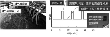 图1 MBR示范工程中膜池脉冲曝气系统和控制原理 图1 MBR示范工程中膜池脉冲曝气系统和控制原理