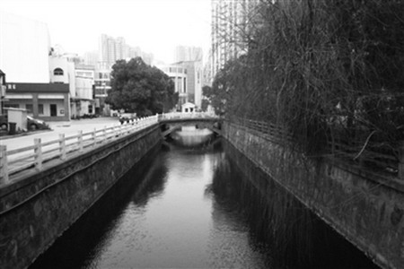 图6 城市中度污染缓流水体净化技术示范工程东桥浜河道 图6 城市中度污染缓流水体净化技术示范工程东桥浜河道