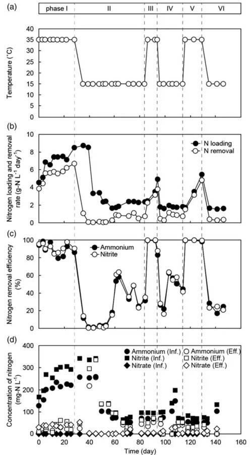 厌氧氨氧化+膜生物反应器污水处理可有1+1>2奇效? 厌氧氨氧化+膜生物反应器污水处理可有1+1>2奇效?