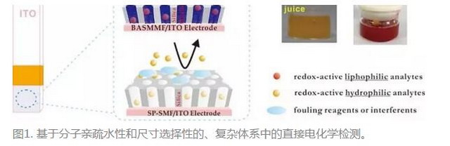 苏彬课题组在纳米均孔膜电化学分析和分离领域获进展 苏彬课题组在纳米均孔膜电化学分析和分离领域获进展
