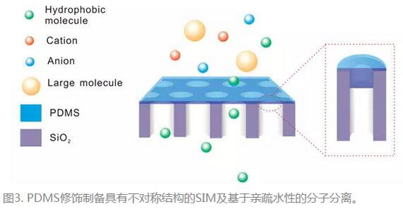 苏彬课题组在纳米均孔膜电化学分析和分离领域获进展 苏彬课题组在纳米均孔膜电化学分析和分离领域获进展