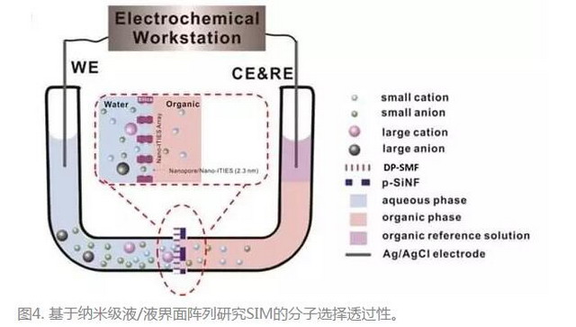 苏彬课题组在纳米均孔膜电化学分析和分离领域获进展 苏彬课题组在纳米均孔膜电化学分析和分离领域获进展