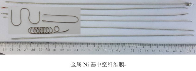 天津工大谭小耀教授团队高温氢分离膜研究获重要进展
