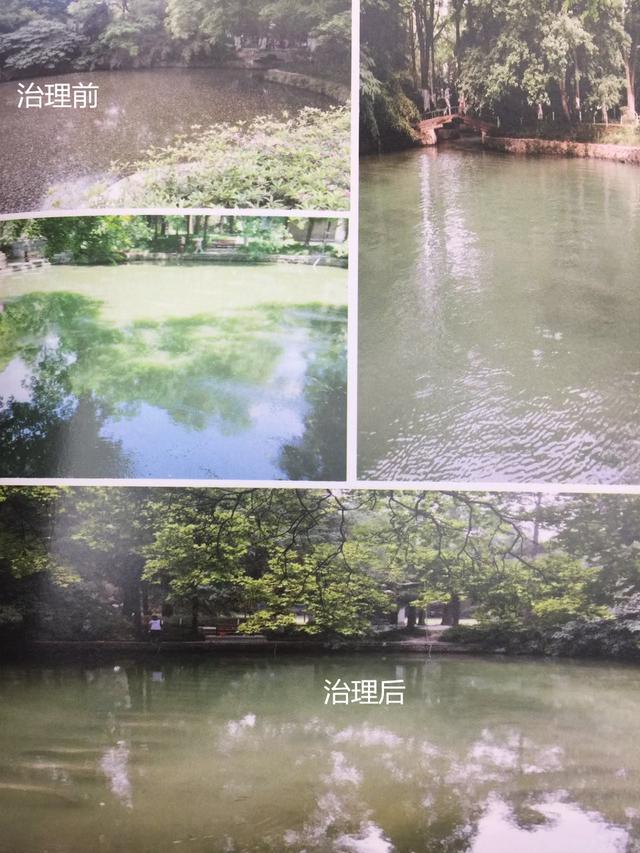 逍遥津示范水域治理前后 逍遥津示范水域治理前后