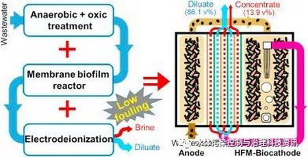 滤膜与生物阴极微生物脱盐细胞结合用于净化市政污水 滤膜与生物阴极微生物脱盐细胞结合用于净化市政污水